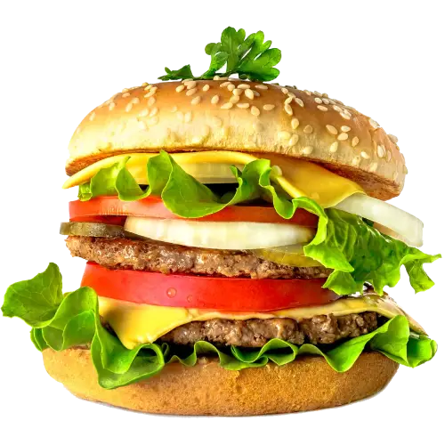 menu-burger-img7